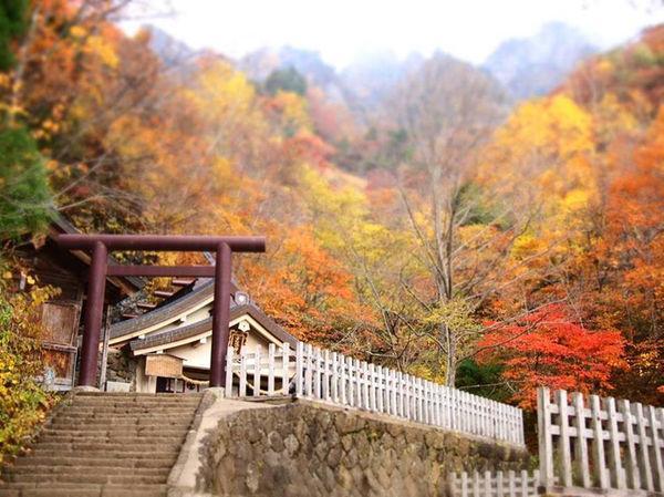 长野 药王院日式旅馆酒店 外观 照片